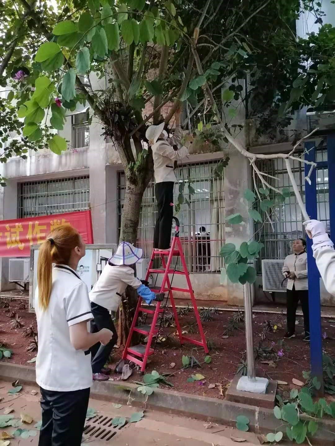 1605665783795738.jpg