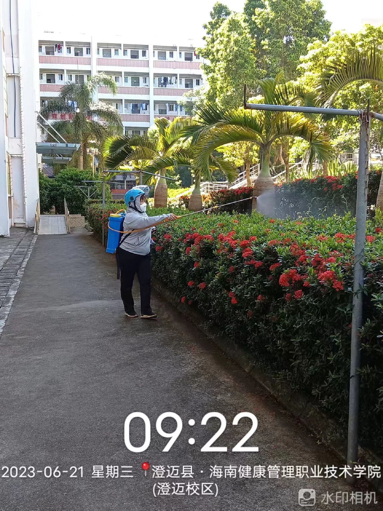 校园灭蚊蝇消毒简讯