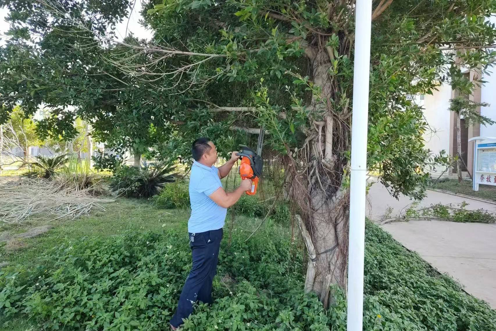 台风过后，我们携手共筑美好校园