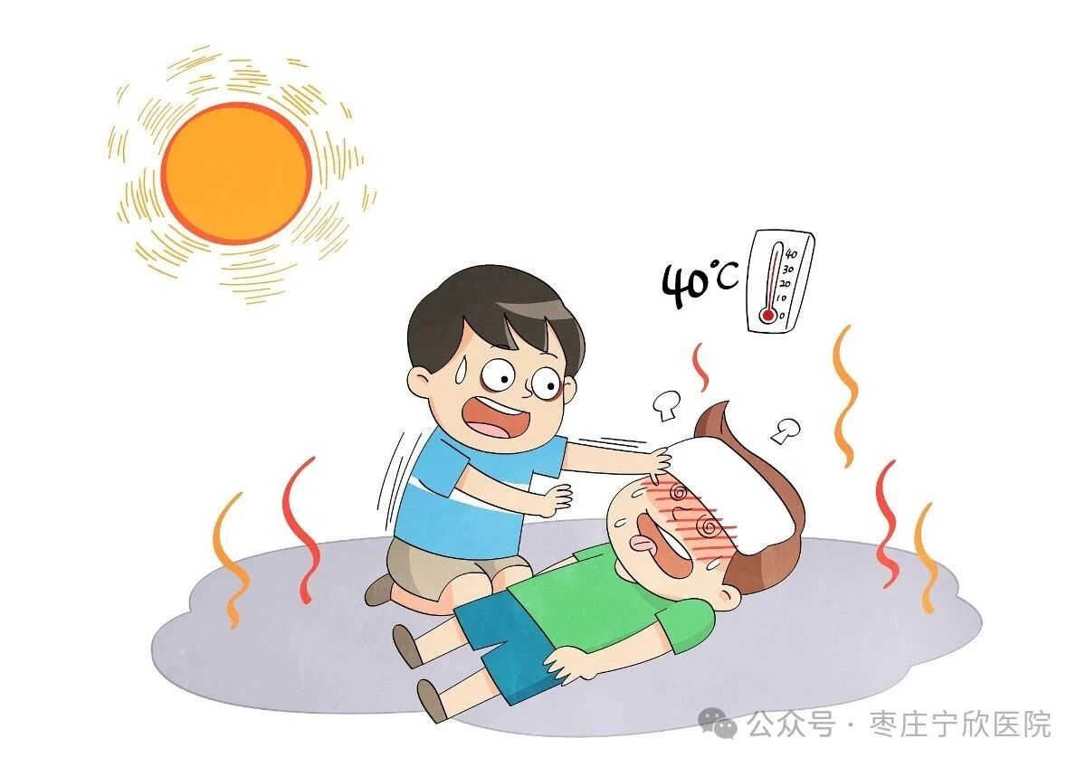 文档图片