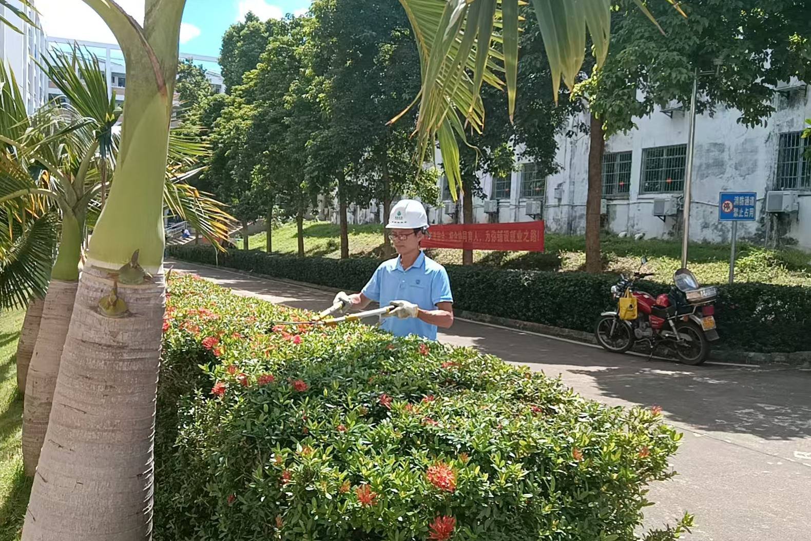 凝心聚力，“净”待归来——总务处全力做好新学期开学准备工作